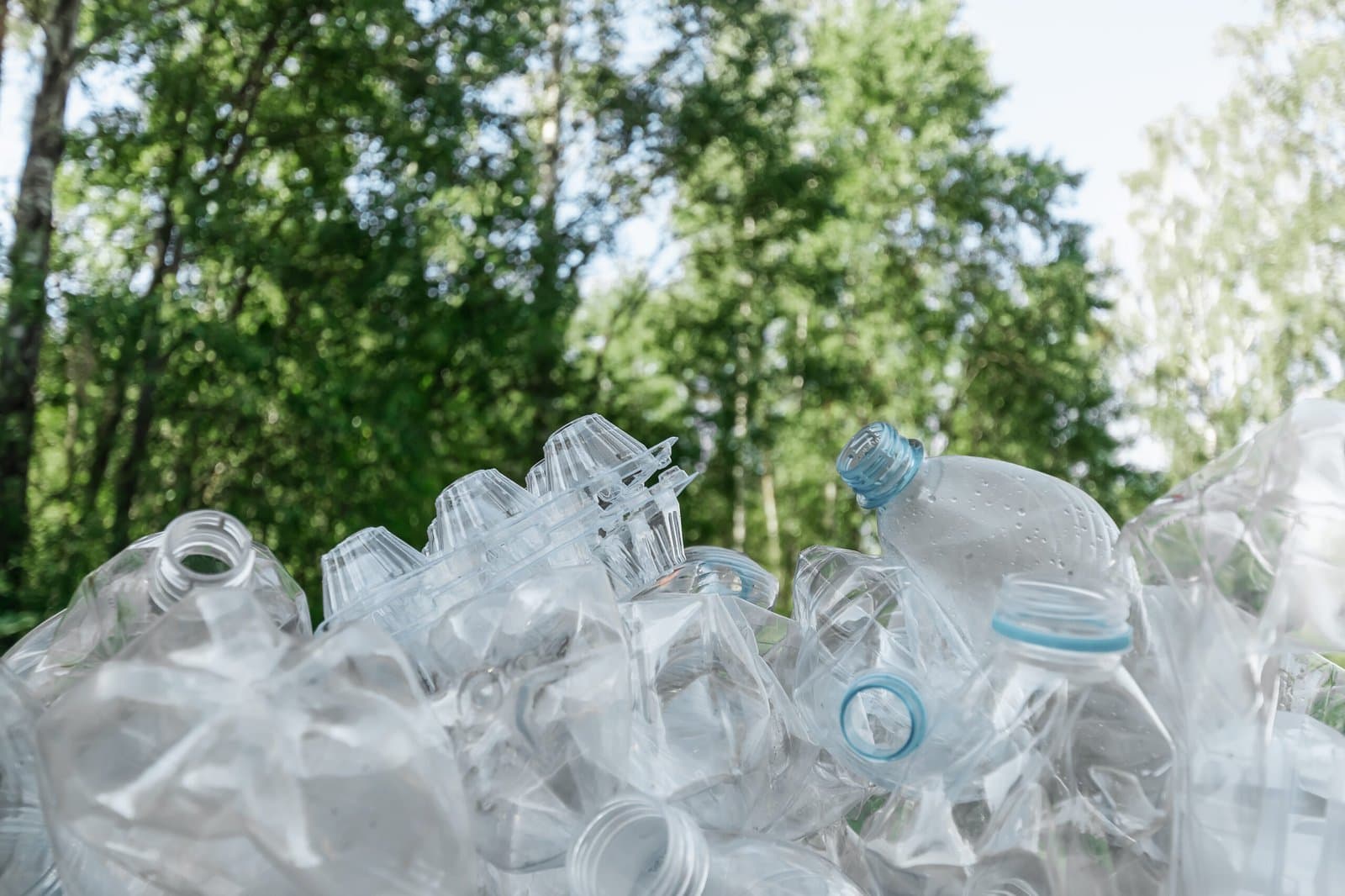 Polyethylene Waste Might Become a Thing of the Past