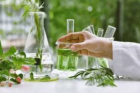 Ras Tanura Restart Fuels Q3 Export Surge for Saudi Chemical Industry