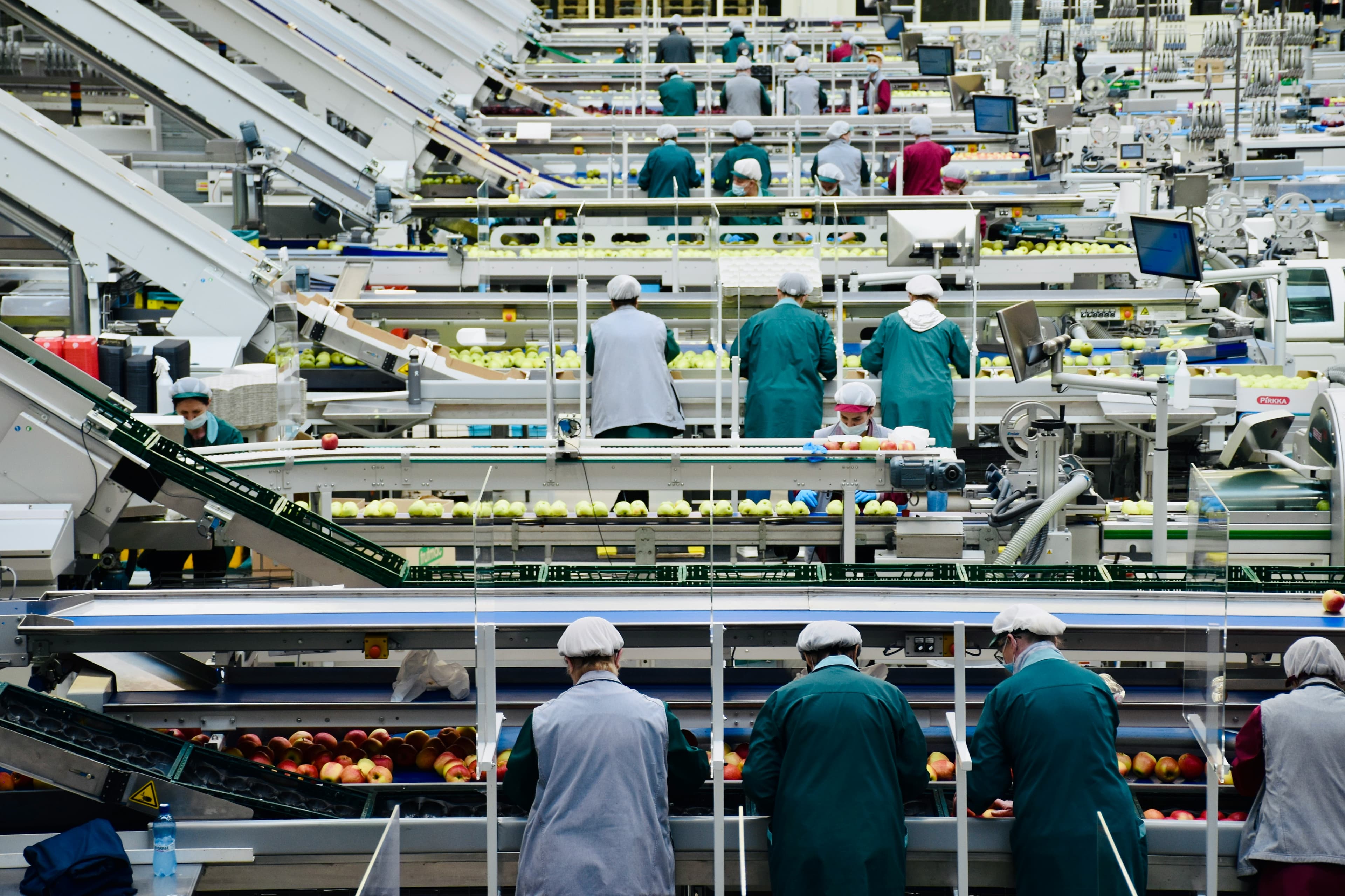 MSG Market: GCC फूड सप्लाई चेन रिज्यूम पोस्ट-होर्मुज के रूप में आसियान डिमांड रिकवरी