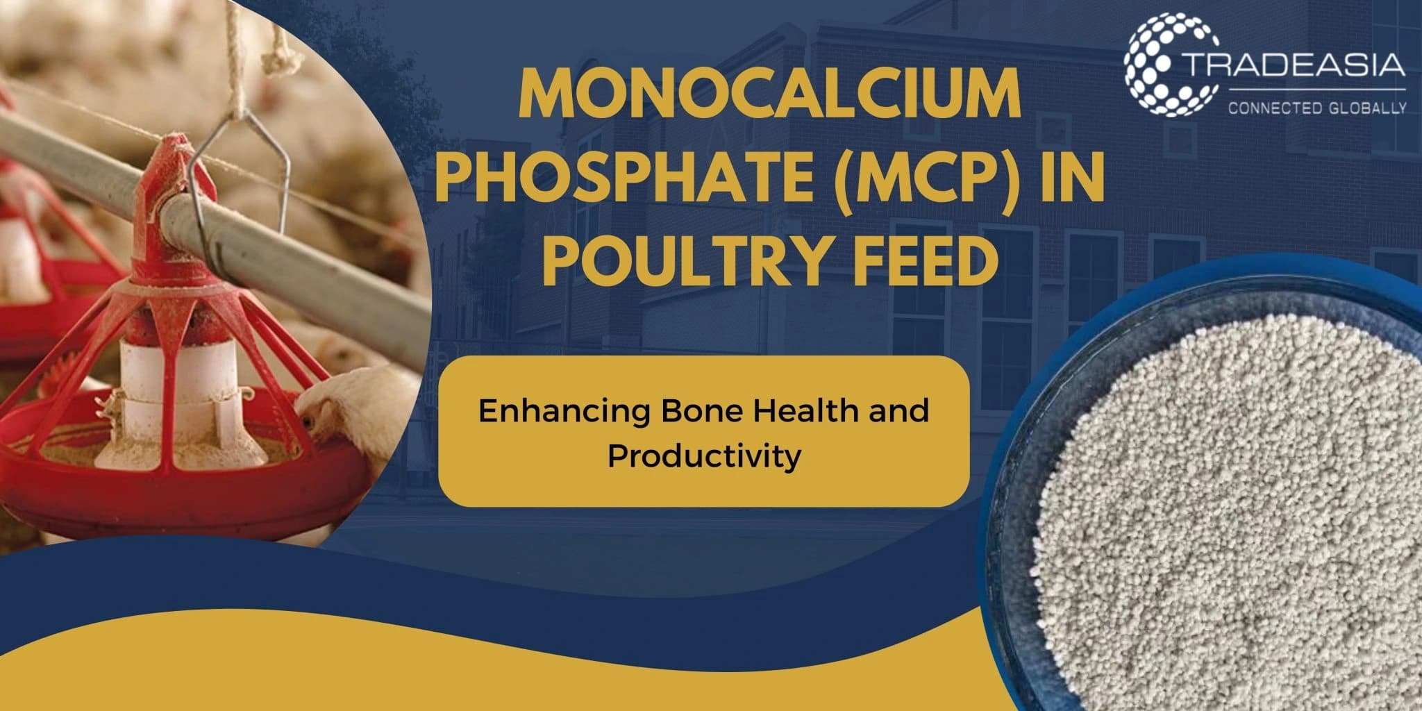 Monocalcium Phosphate (MCP) in Poultry Feed: Enhancing Bone Health and Productivity
