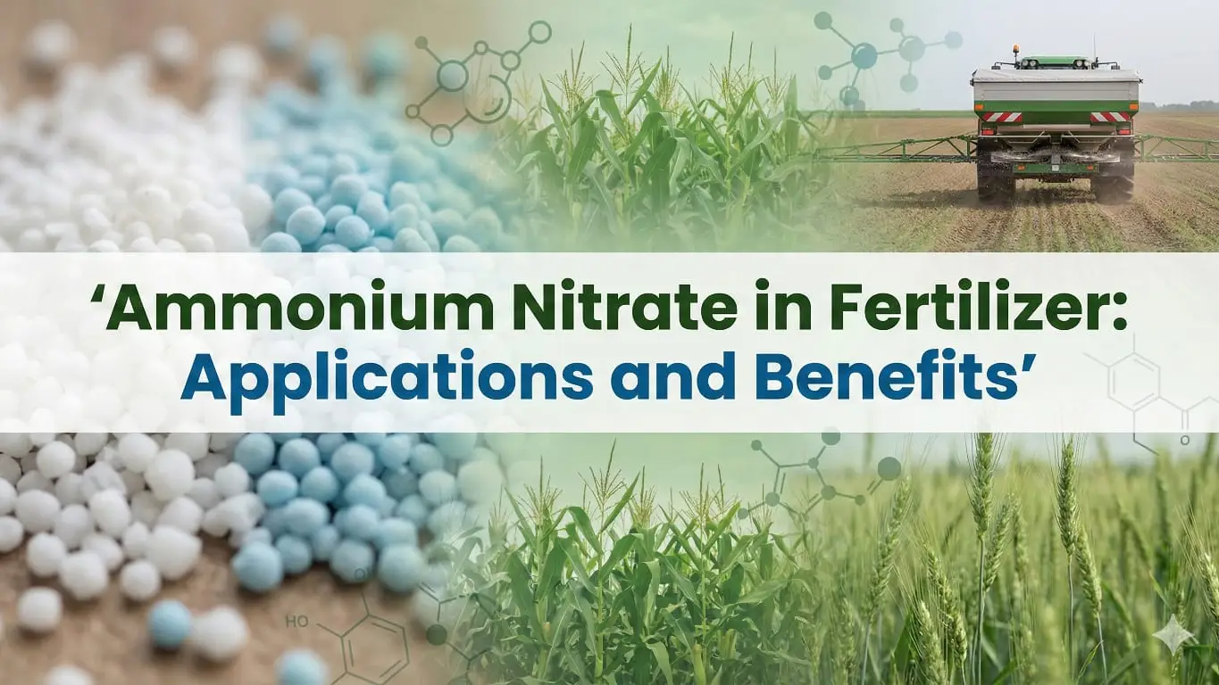 Ammonium Nitrate in Fertilizer: Applications and Benefits