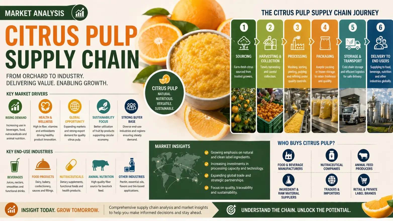 Citrus Pulp Supply Chain Market Outlook 2026 Amid Feed Industry Expansion