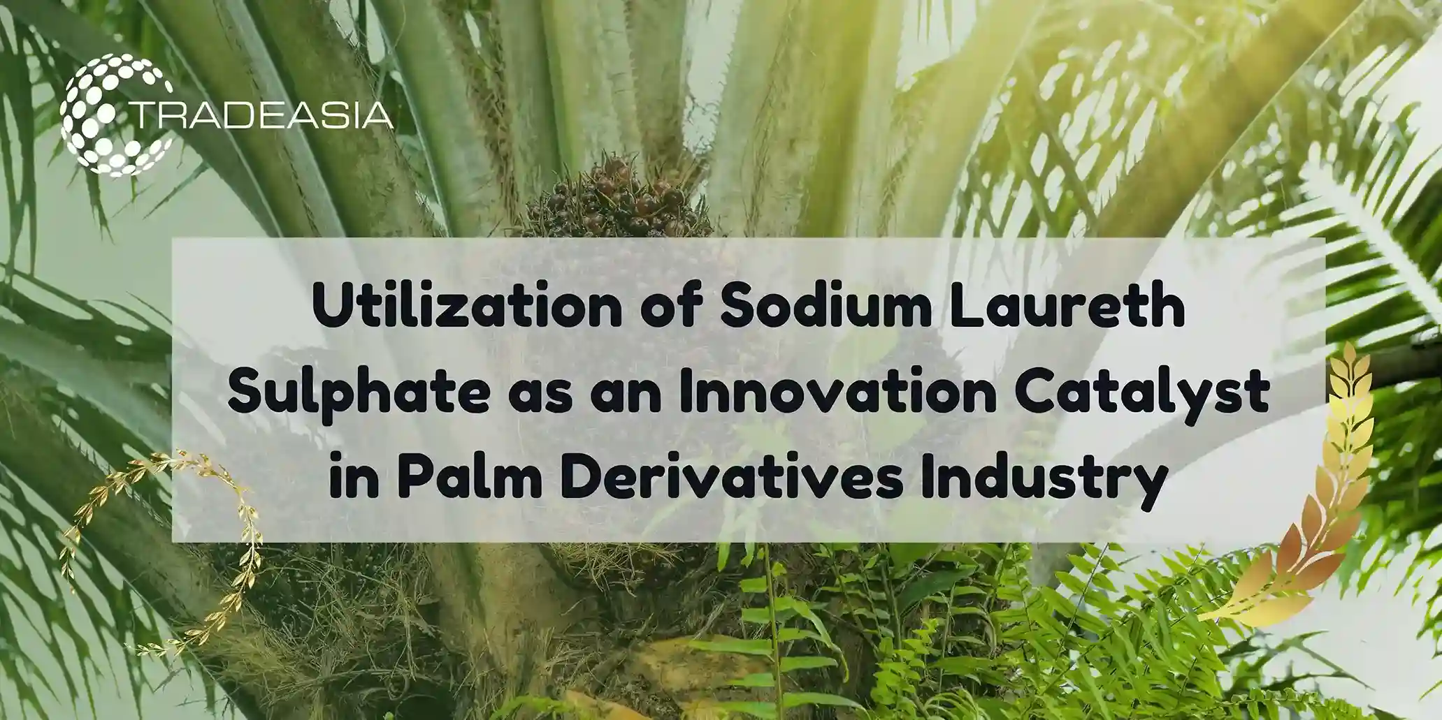Utilization of Sodium Laureth Sulphate as an Innovation Catalyst in Palm Derivatives Industry