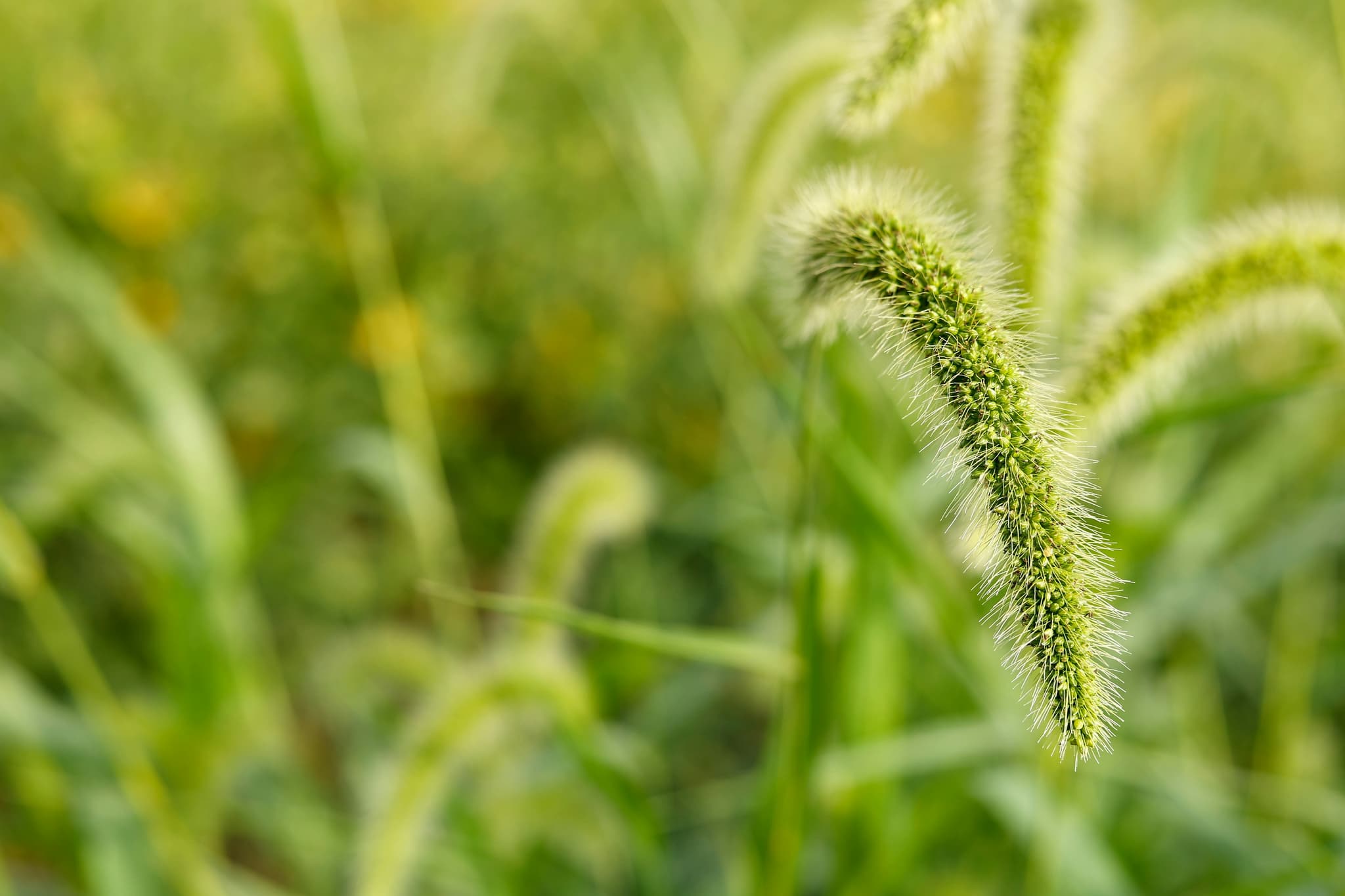 Statewide PFAS Directive Compliance Continues Shaping New Jersey Agricultural Chemical Oversight