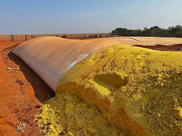 Woodside's Blue Ammonia Review Carries Direct Relevance to Fertilizer Feedstock Planning