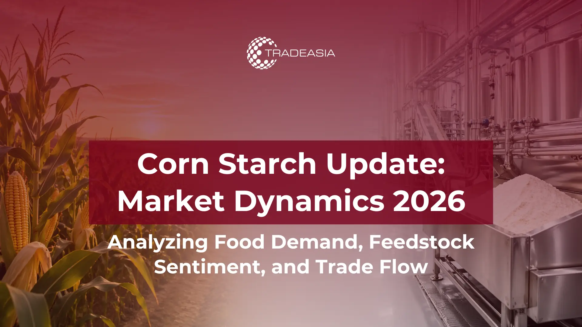 Corn Starch Market Dynamics 2026: Food Demand, Feedstock Sentiment & Trade Flow