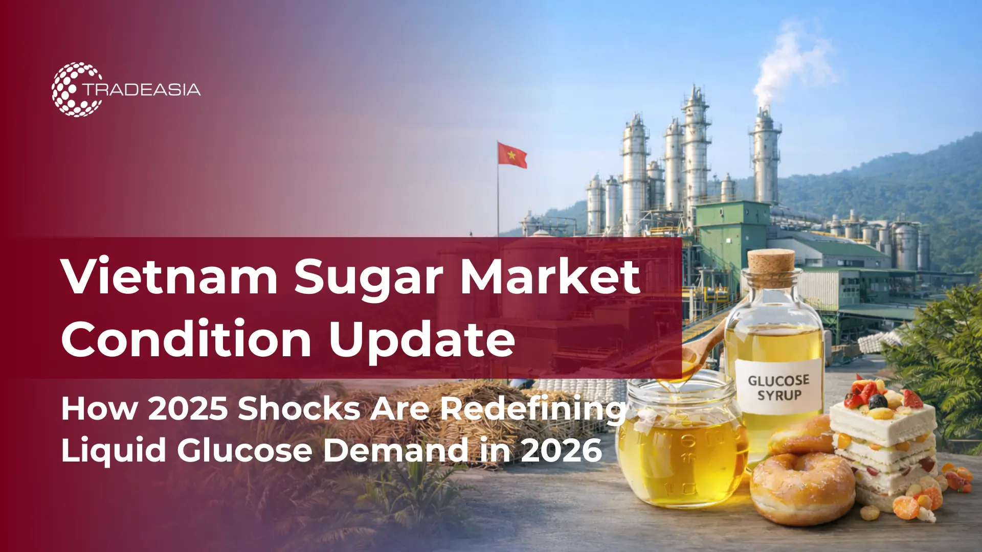 Vietnam Sugar Industry Under Pressure: How October 2025 Market Shocks Shape 2026
