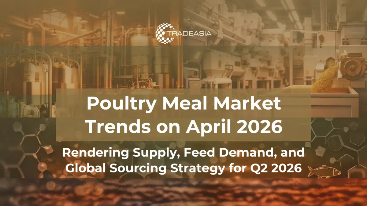 Why Poultry Meal Is Gaining Attention in Global Feed Markets in April 2026
