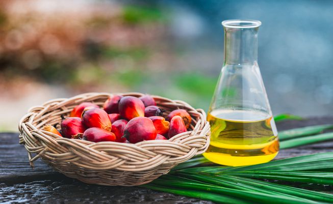 Palm Oil and its derivatives