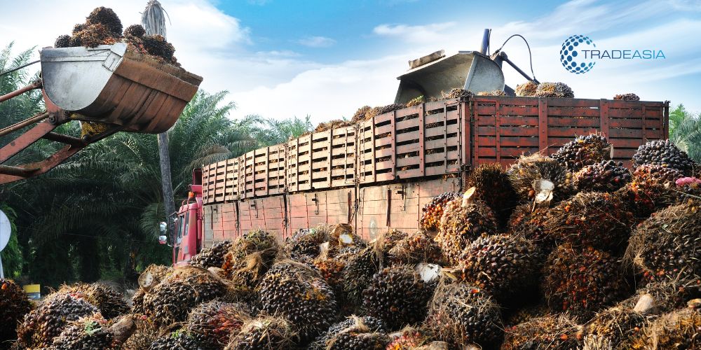Literal Perspective of Palm Oil Import Duty